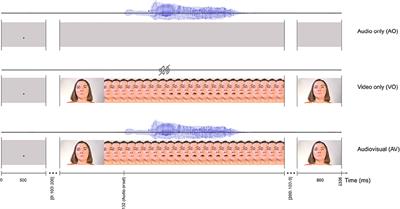 Musical Expertise Affects Audiovisual Speech Perception: Findings From Event-Related Potentials and Inter-trial Phase Coherence